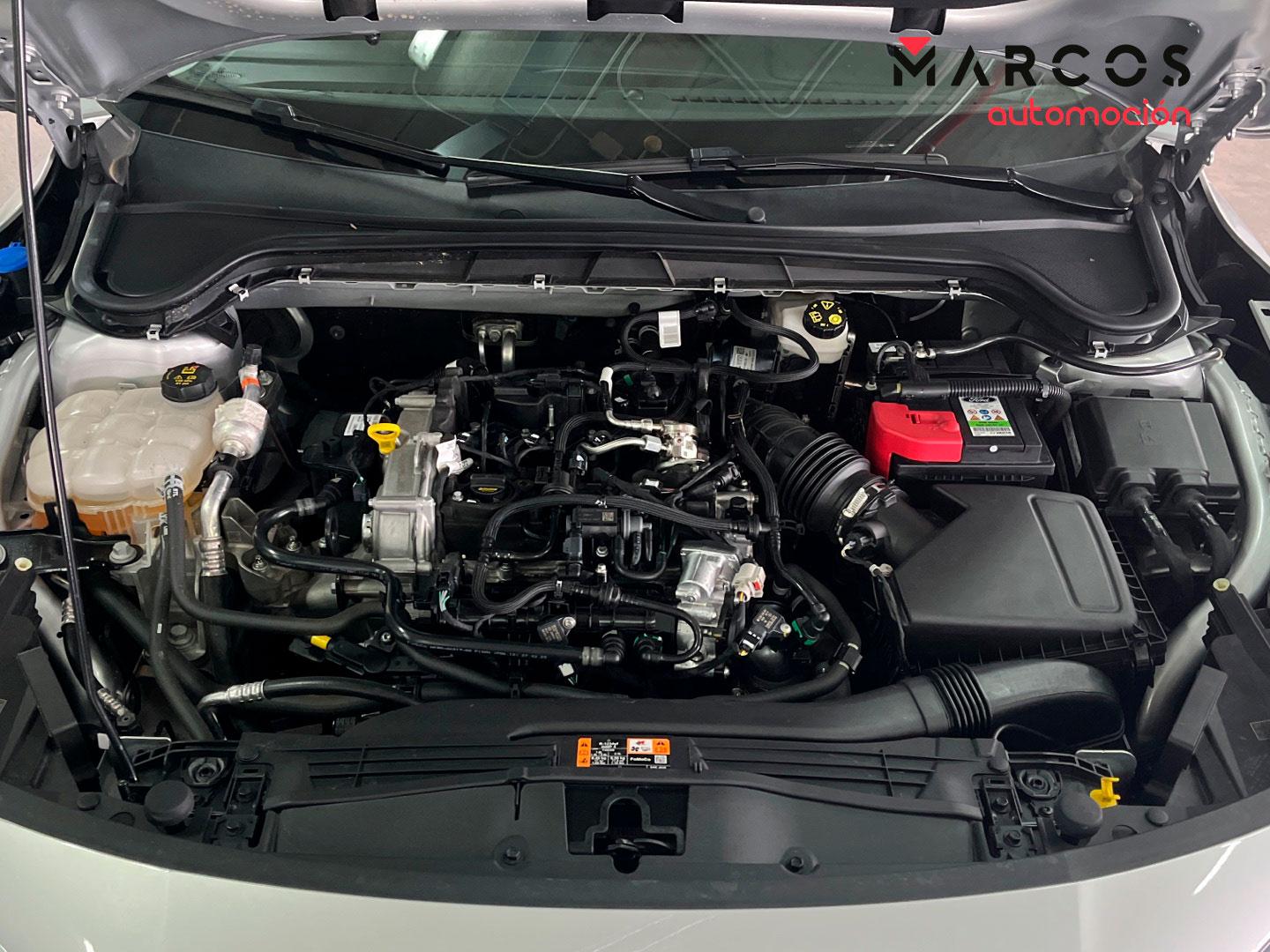 Foto Ford Focus 14