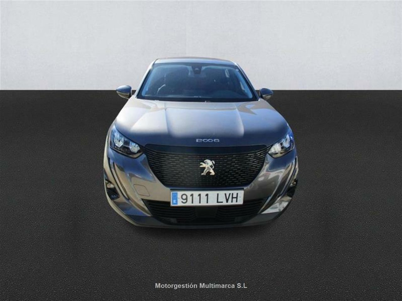 Foto Peugeot 2008 2