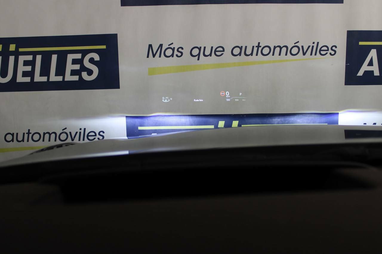 Foto Lexus LS 19