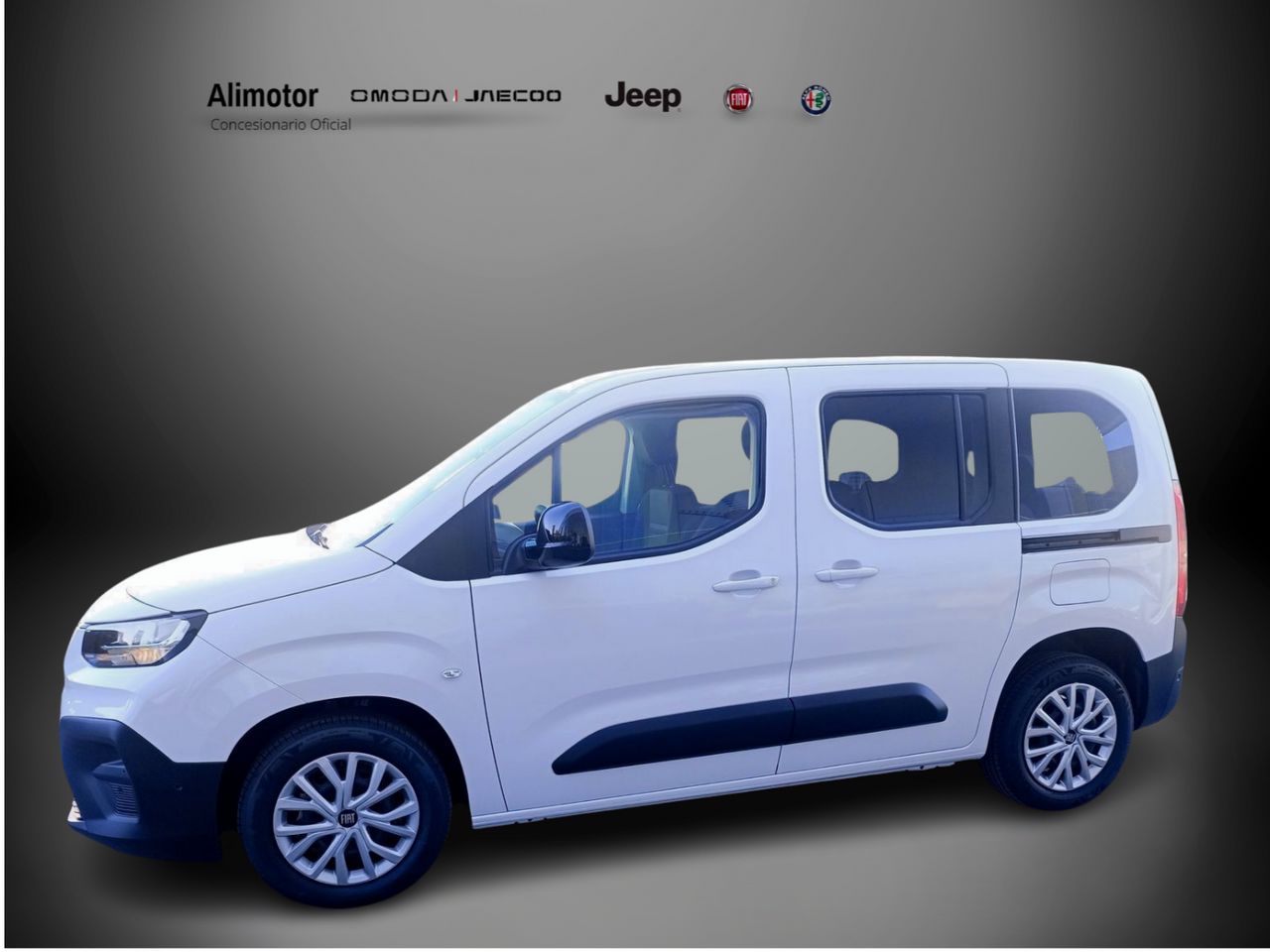 Foto Fiat Doblo 8