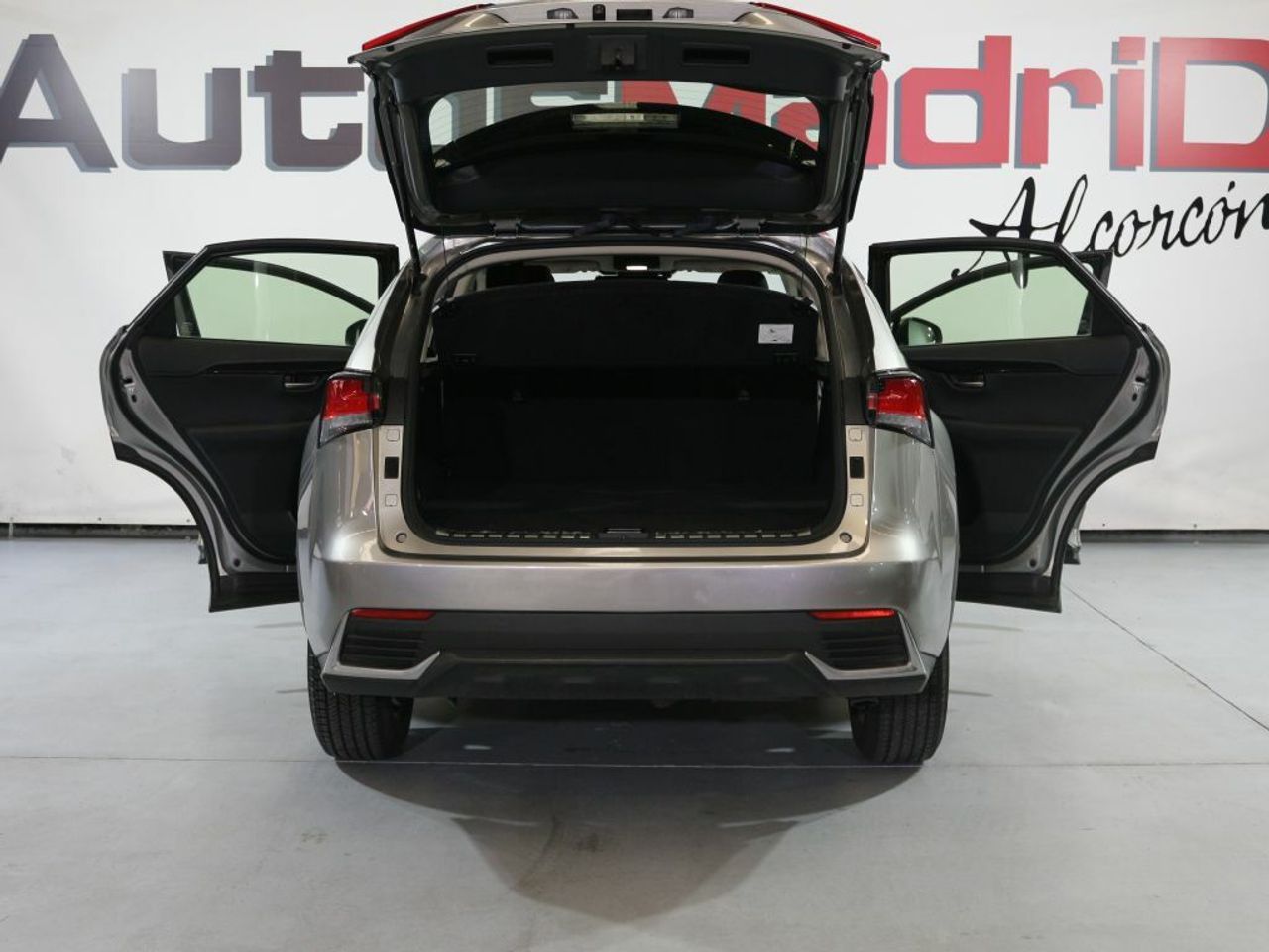 Foto Lexus NX 5
