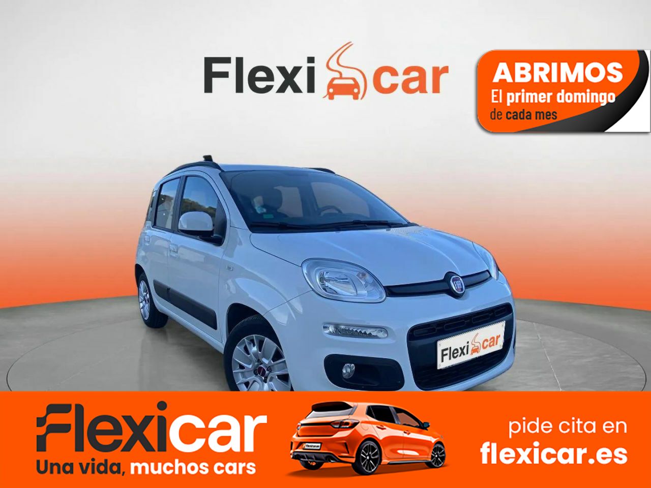 Foto Fiat Panda 1