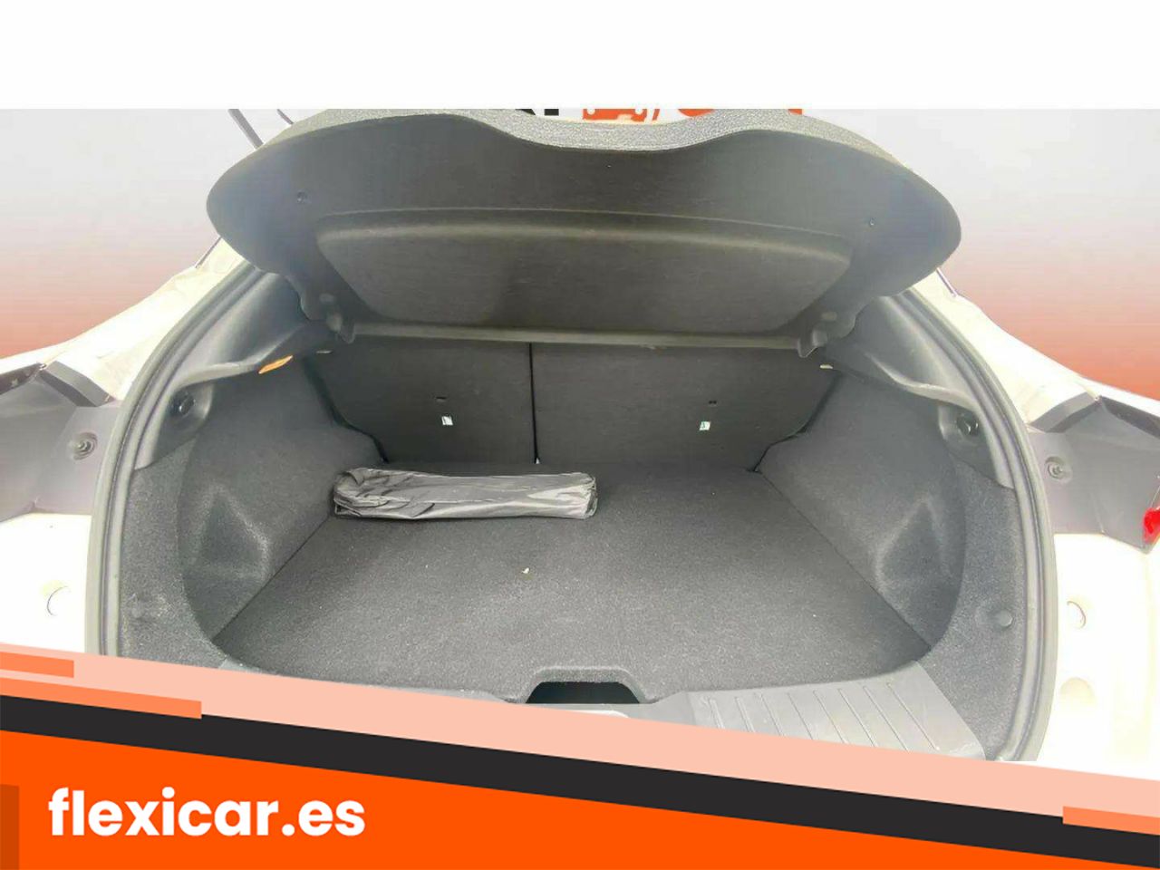 Foto Nissan Juke 17