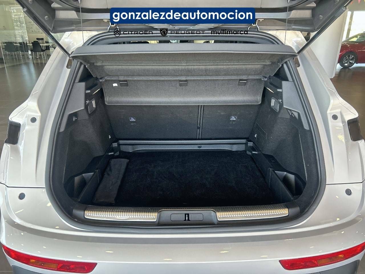 Foto DS Automobiles DS 7 6
