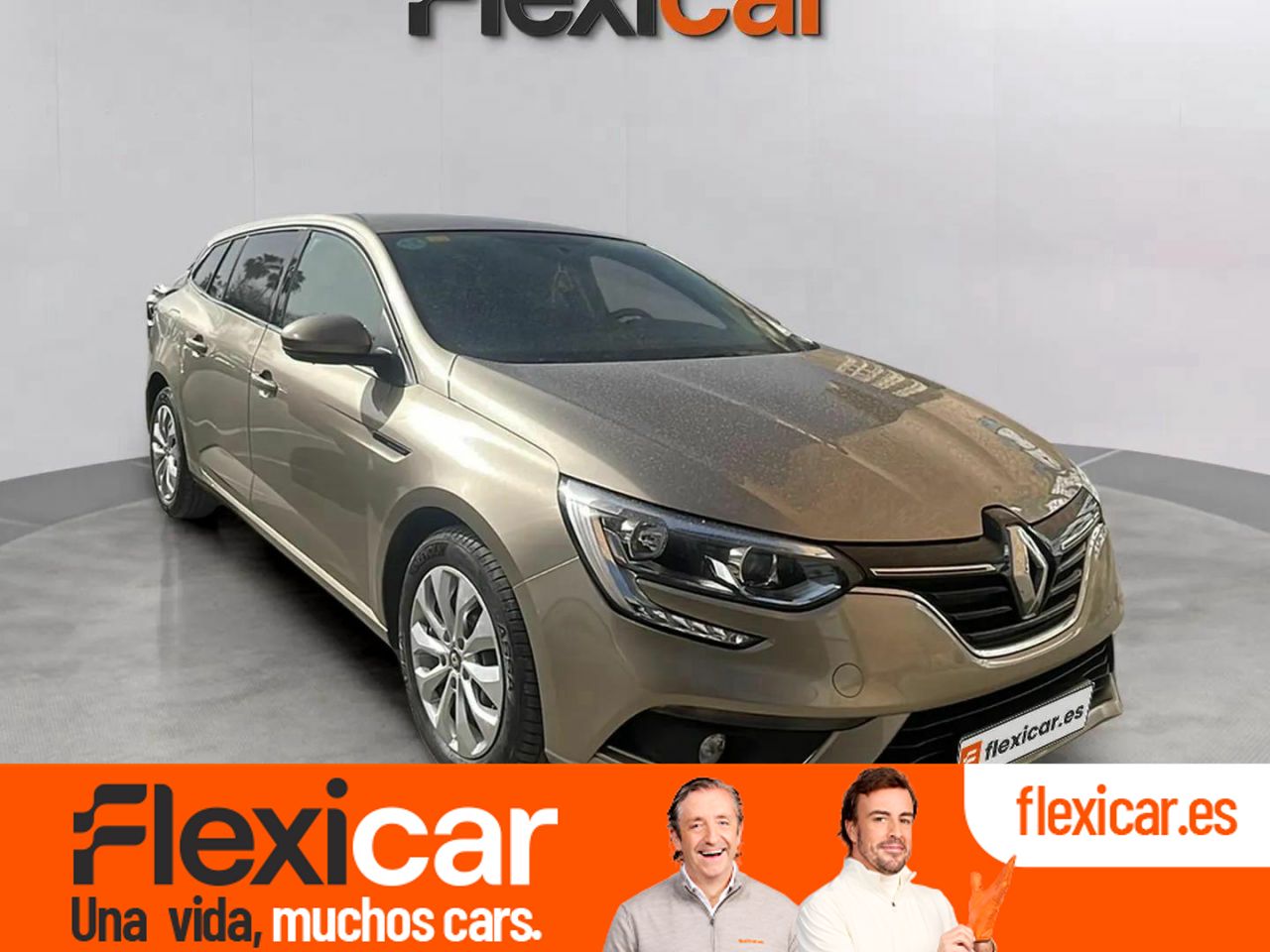 Foto Renault Mégane 1