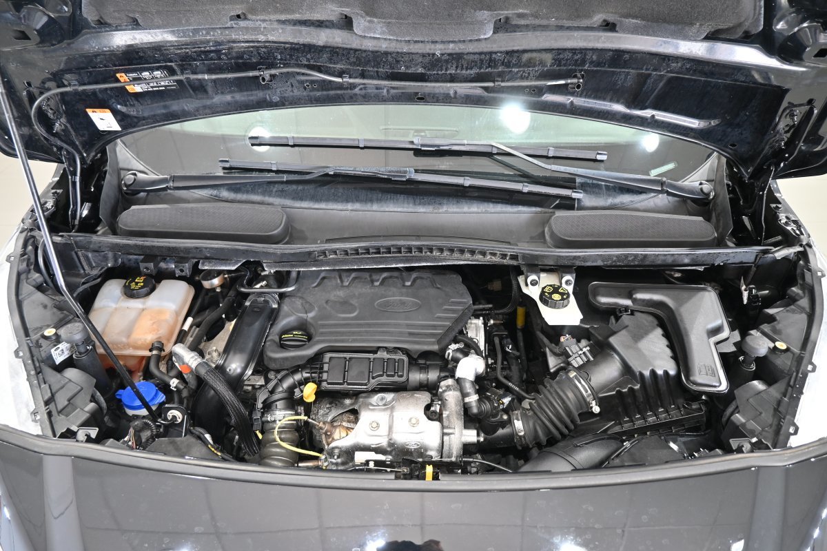 Foto Ford Tourneo Connect 7