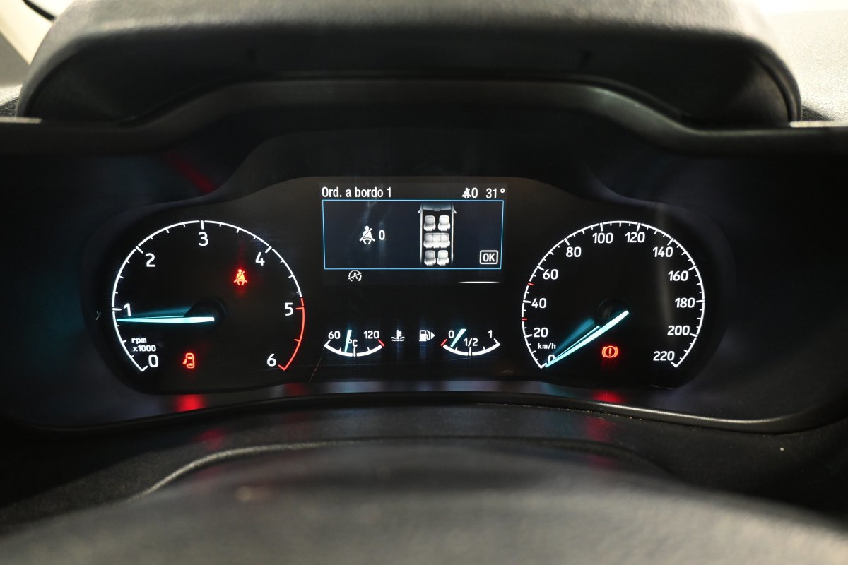 Foto Ford Tourneo Connect 13