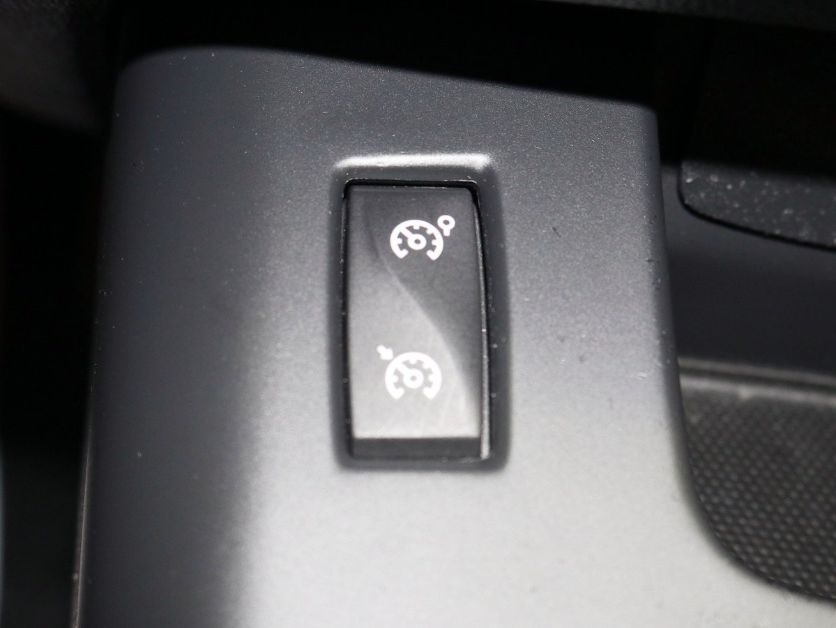 Foto Renault Scénic 21